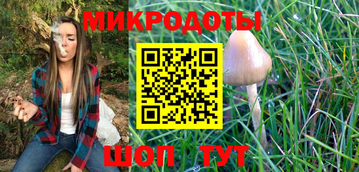 Галлюциногенные грибы Cubensis Калач-на-Дону
